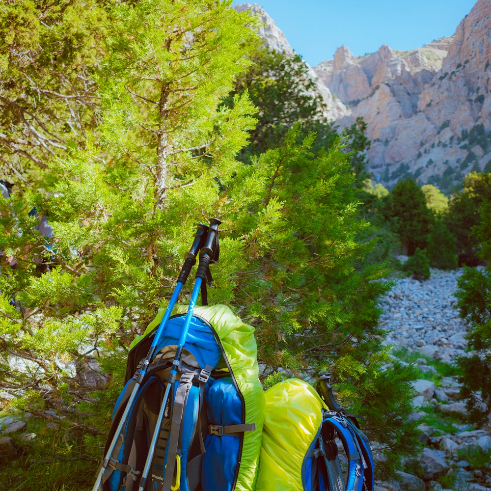 Trekkingrugzak 55 L