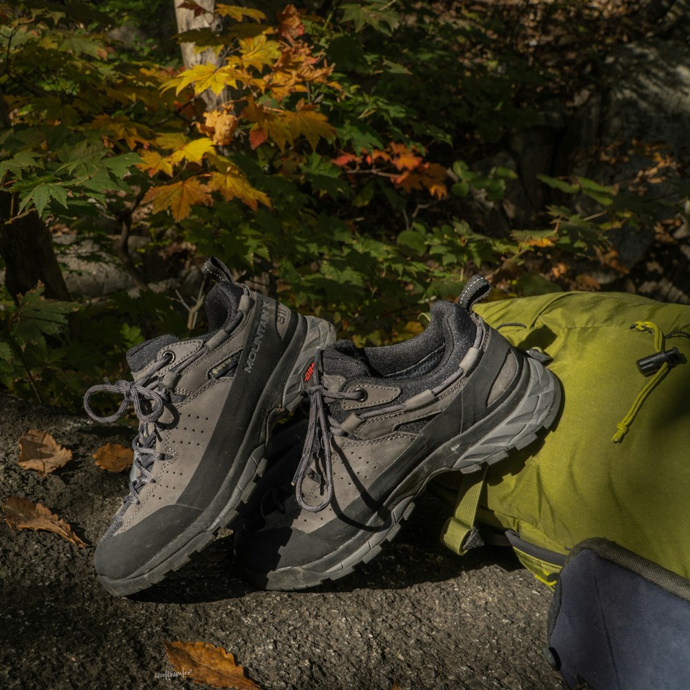 Wandelschoenen Ridge dames